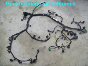 Honda Main Wire Harness Assy 32100-ZY6-020 Honda Main Wire Harness Assy